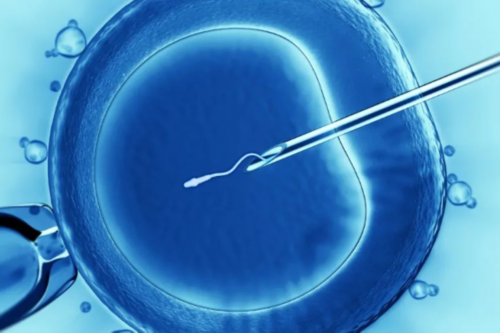 子宫肌瘤可以做试管哪-子宫肌瘤可以做试管婴儿吗