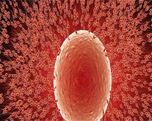 第三代试管借卵费用需要多少费用？三代试管借卵费用助孕价格