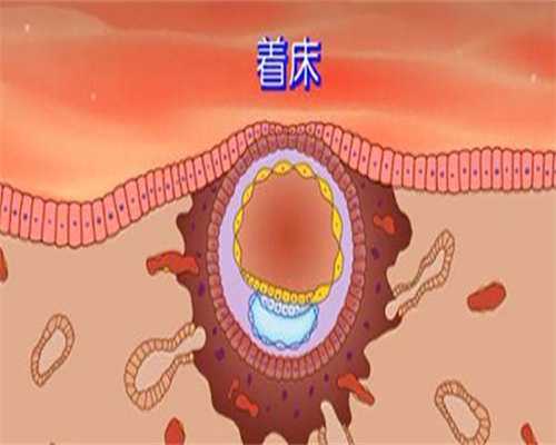 试管捐卵流程：打普丽康后注意事项.普丽康促排卵(打普丽康后注意事项.普丽康促排卵)