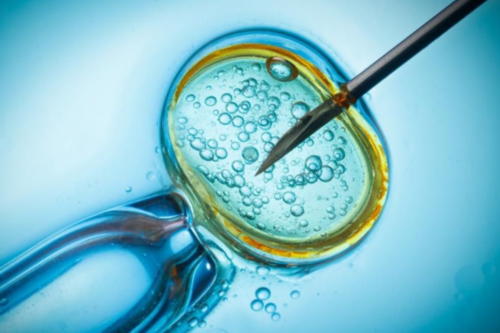 子宫粘连对于做试管有没有影响?宫腔黏连对试管有影响吗