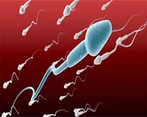 包成功代生地址冻胚移植前所有激素和内膜的最佳指标是多少!与什么有关!