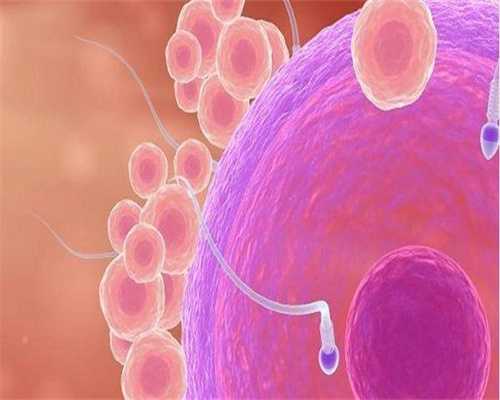 嘉峪关第三代同性供卵代生多少钱-嘉峪关第三代同性供卵代生价格查询
