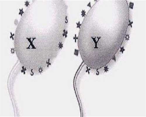 衢州供卵代生,衢州哪个医院可以冷冻卵子?菁华、盛京、九州家圆上榜