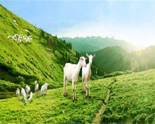 试管降调和不降调区别大不大，各有优势需分情况选择。