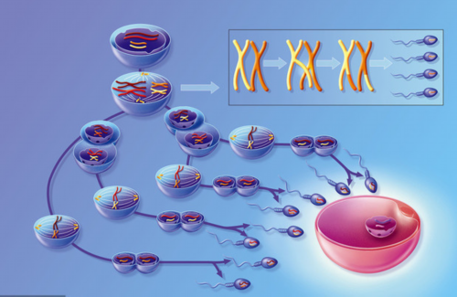 衢州妇婴医院取卵费用！需不需要送红包难说