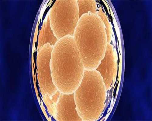 双子宫试管可以做生宝宝吗?双子宫做试管婴儿成功率高吗?