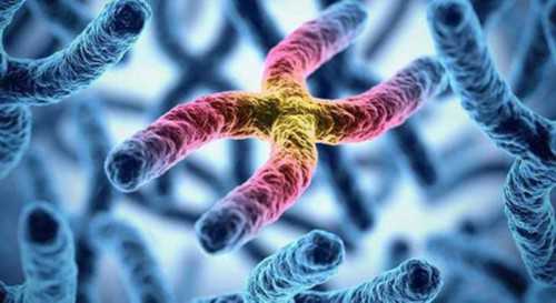 全国代孕服务_代孕中心网站,做试管婴儿要做什么检查?