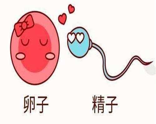 代怀包成功价格表_包生女孩价格查询,怀孕一周后的症状有哪些