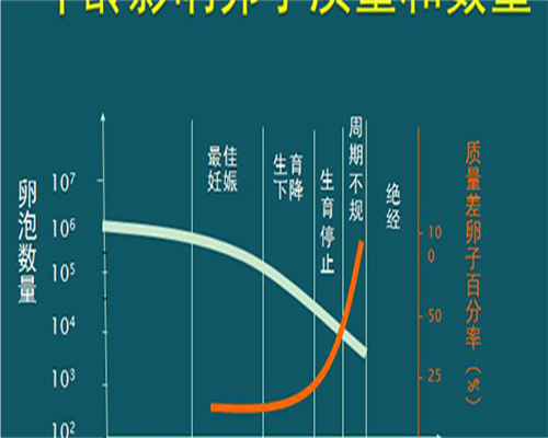 衢州招聘有偿捐卵_试管代孕网,2026年衢州市做第三代试管婴儿成功率和价格