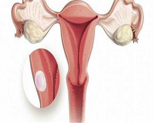 衢州三代试管包生男孩价格是多少？
						