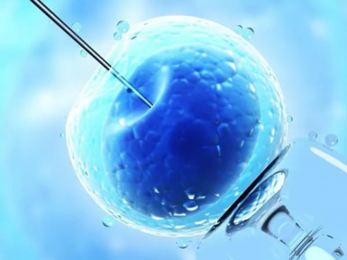 子宫内膜癌会优先做试管么