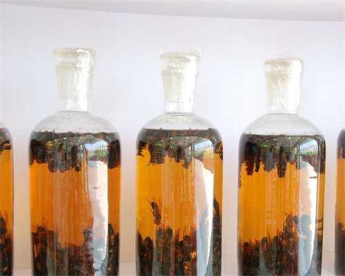 试管生儿子概率高吗,输卵管造影有没有必要做(什么时候需要做造影)