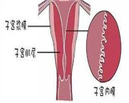 代孕权威机构,俄罗斯不孕不育医院汇总-俄罗斯好试管婴儿医院