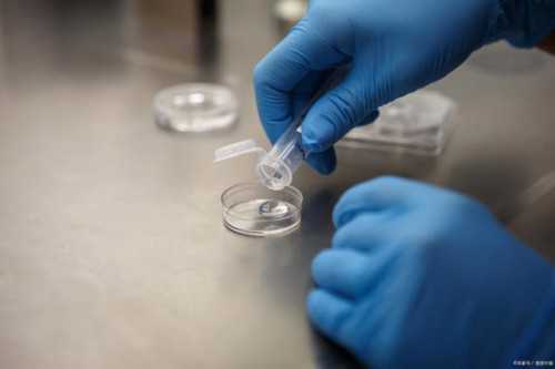 子宫粘连做几代试管