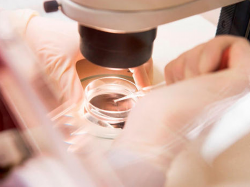 三代代生孩子哪家专业囊胚什么时候移植?三代代生孩子哪家专业囊胚什么时候