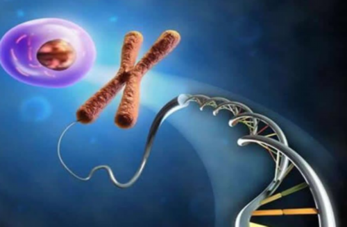 试管婴儿移植后住院多久？试管婴儿移植后要住院吗？